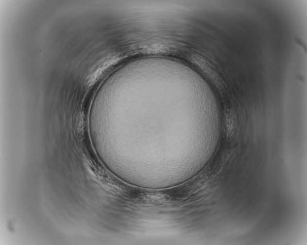 X0000100860583200807070935