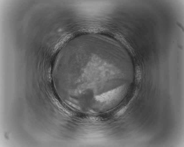 X0000100860585200807070935