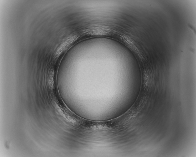 X0000100860586200807070935