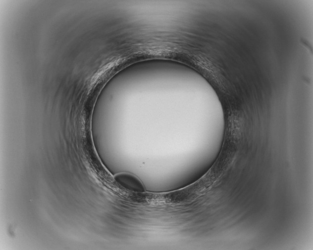 X0000100860587200807070935