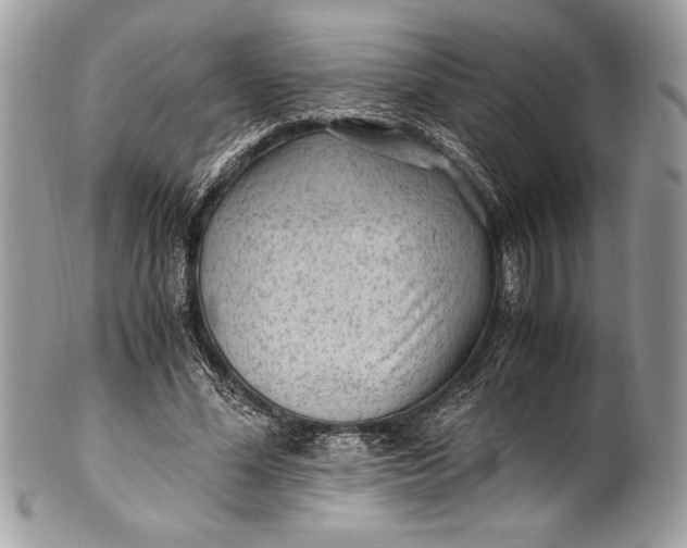 X0000100860588200807070935