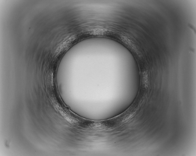 X0000100860589200807070935