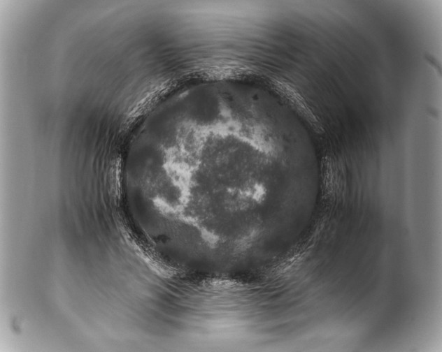 X0000100860590200807070935