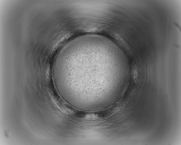 X0000100860591200807070935