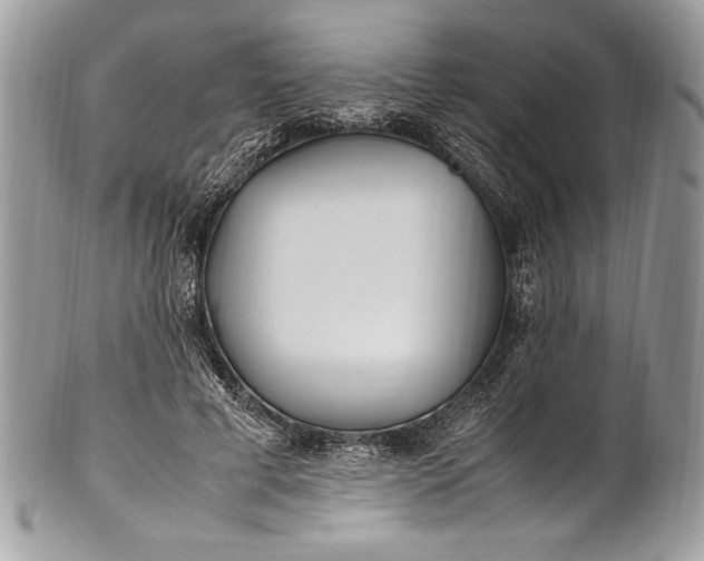 X0000100860593200807070935