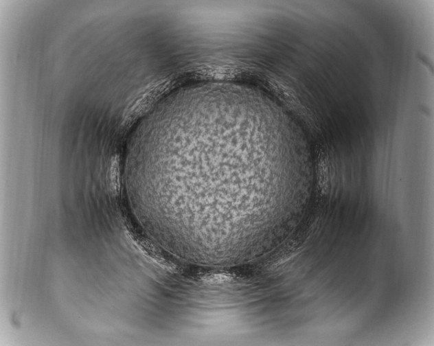 X0000100860594200807070935