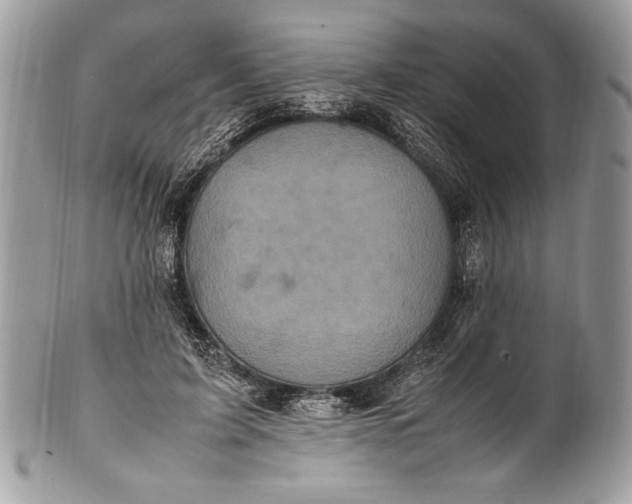 X0000100860595200807070935