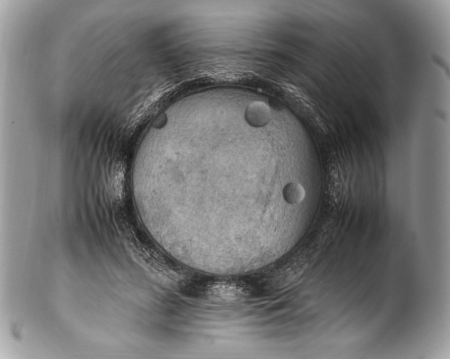 X0000100860596200807070935