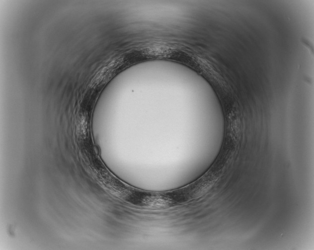 X0000100860597200807070935