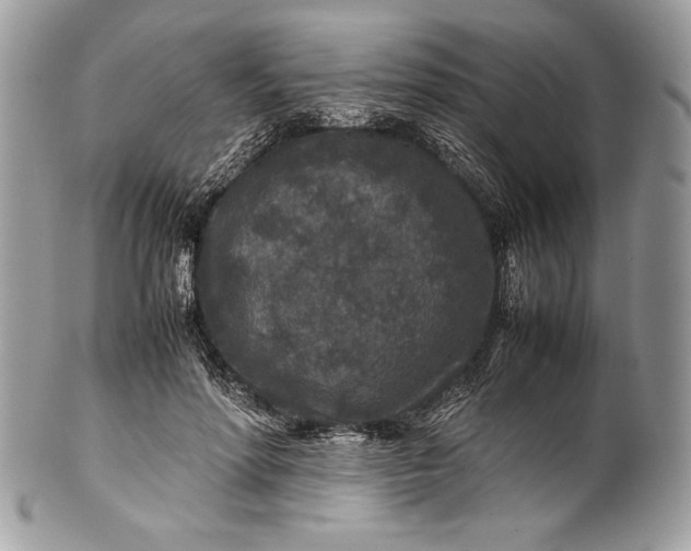 X0000100860598200807070935