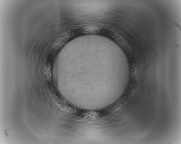 X0000100860599200807070935