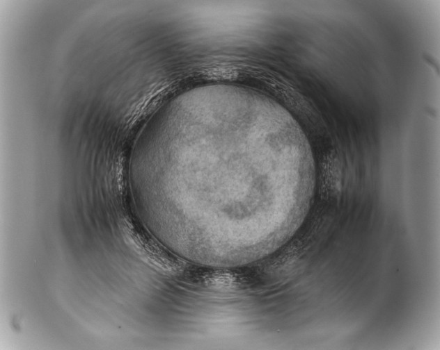 X0000100860600200807070935