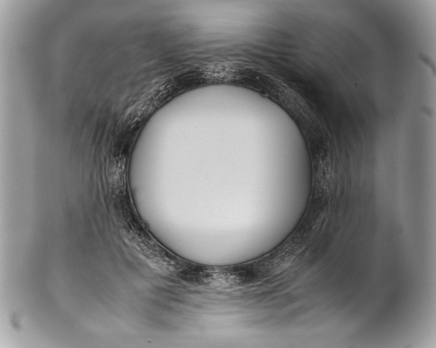 X0000100860601200807070935