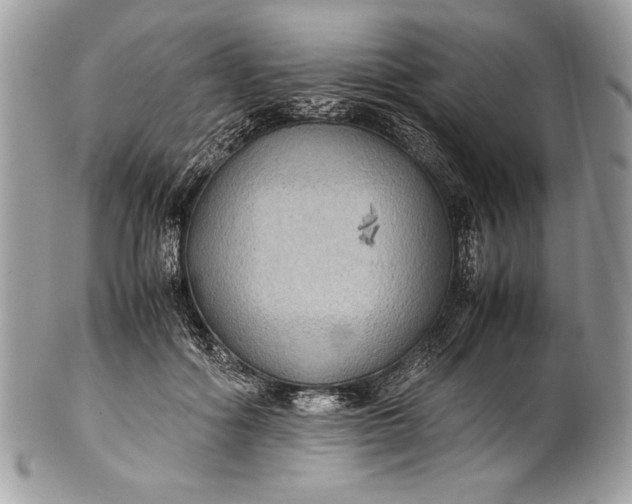 X0000100860602200807070935