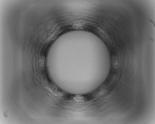 X0000100860603200807070935