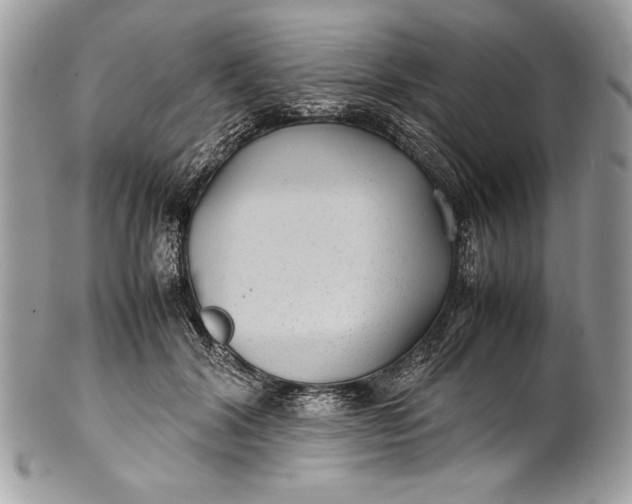 X0000100860604200807070935