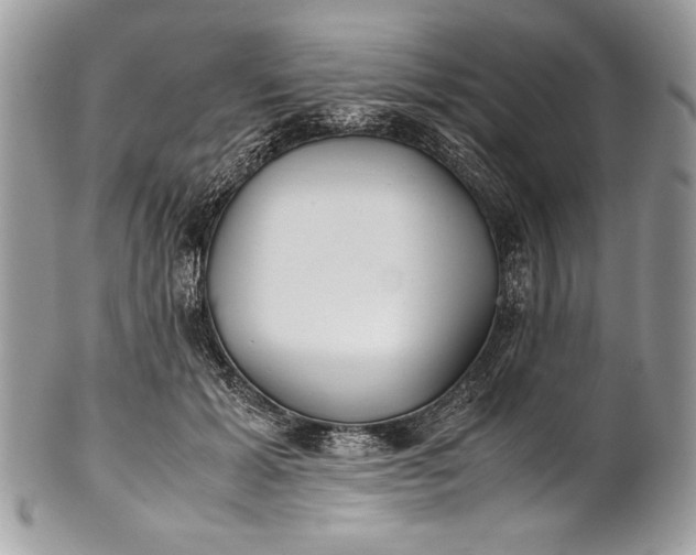 X0000100860605200807070935