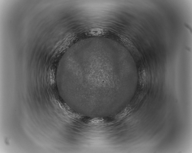 X0000100860606200807070935