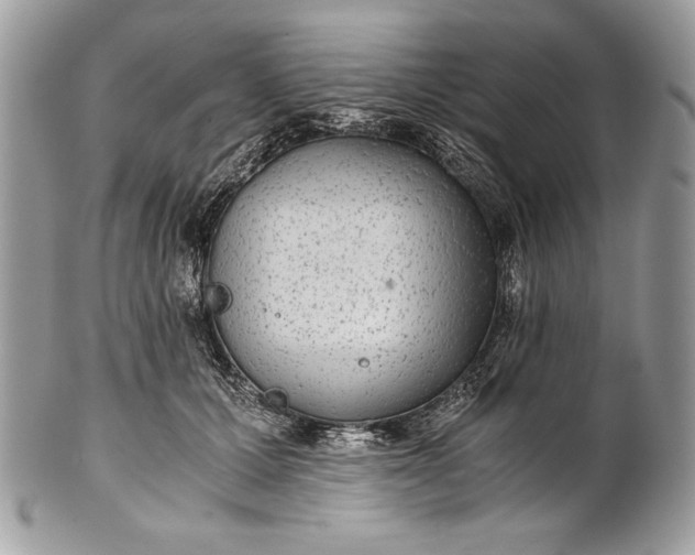 X0000100860607200807070935