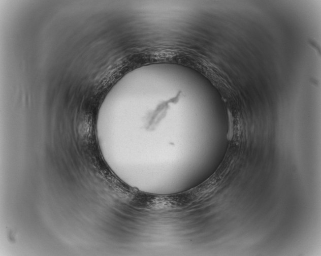 X0000100860608200807070935