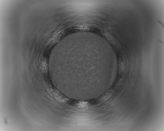 X0000100860609200807070935