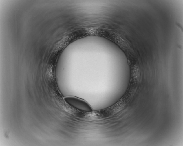 X0000100860611200807070935