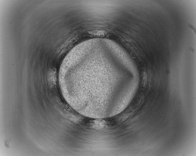 X0000100860612200807070935