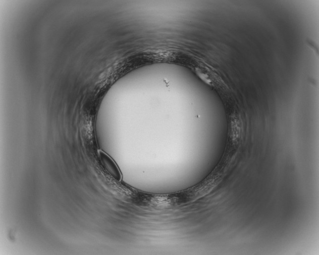 X0000100860613200807070935