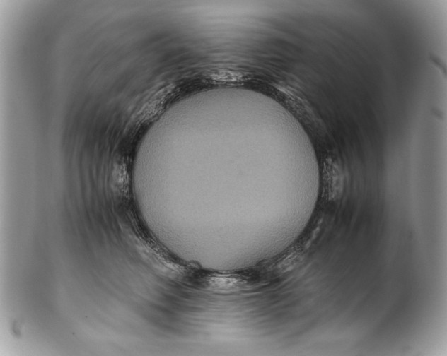 X0000100860614200807070935