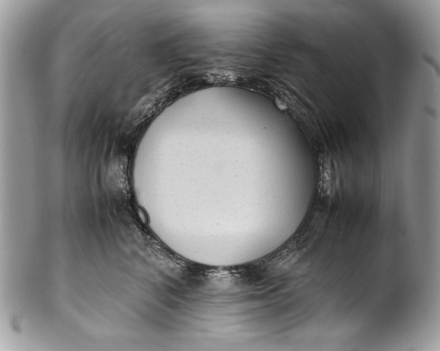 X0000100860616200807070935