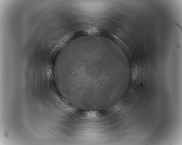 X0000100860618200807070935