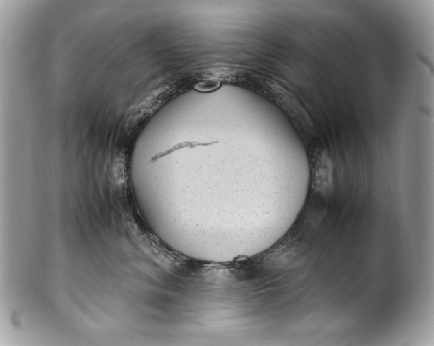 X0000100860620200807070935