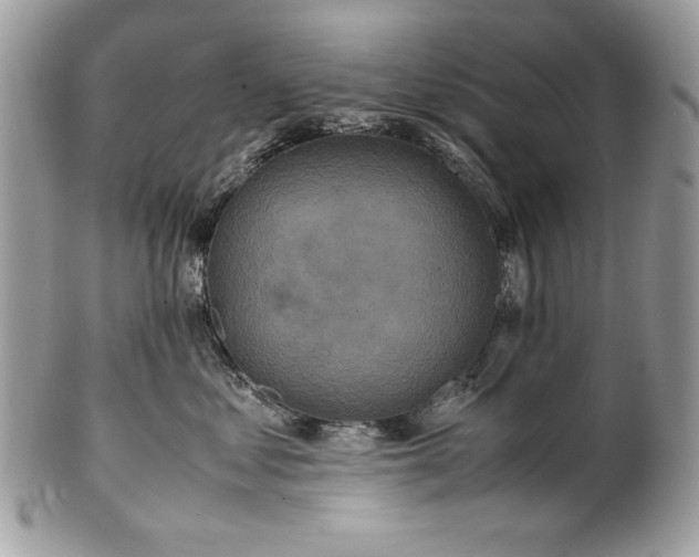 X0000100860621200807070935