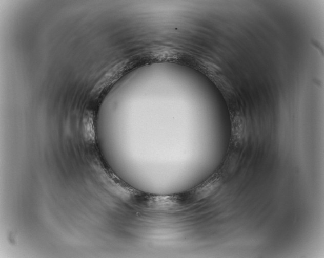 X0000100860622200807070935