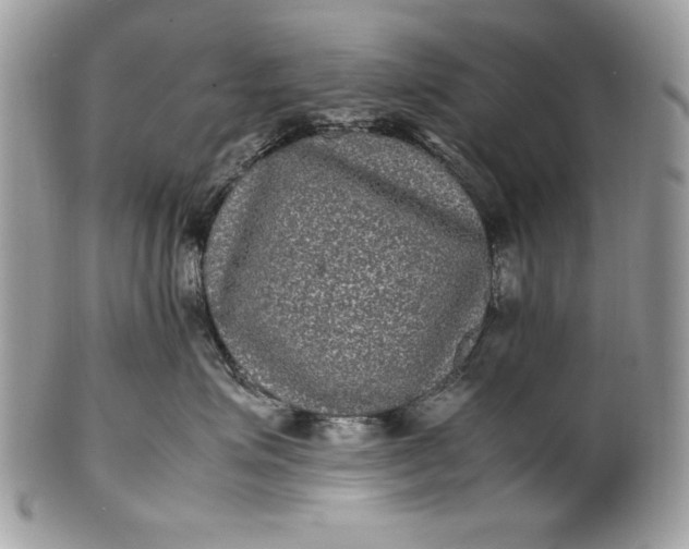 X0000100860623200807070935