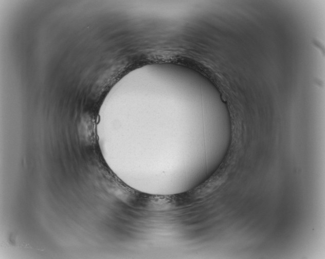 X0000100860624200807070935