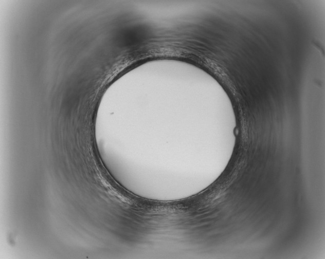 X0000100860625200807070934