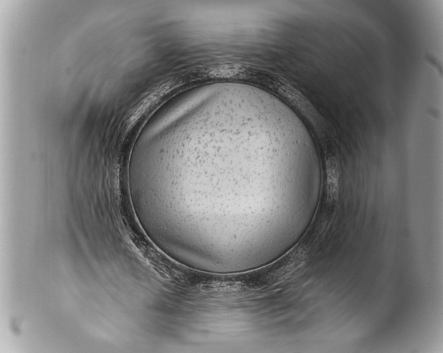 X0000100860626200807070934