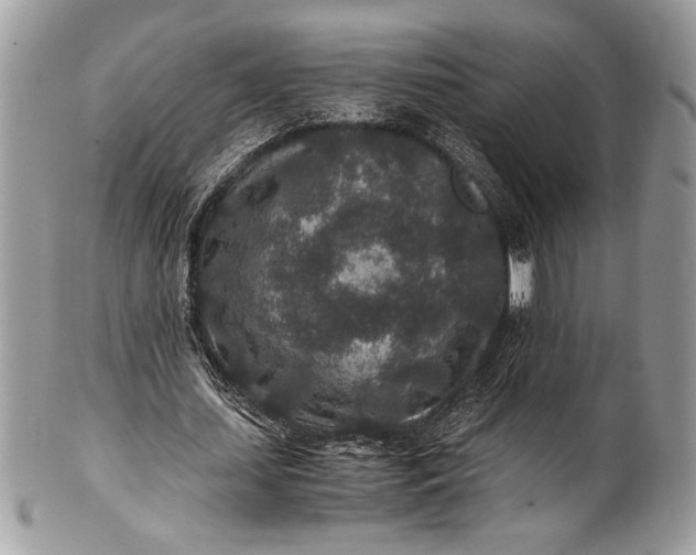 X0000100860627200807070934