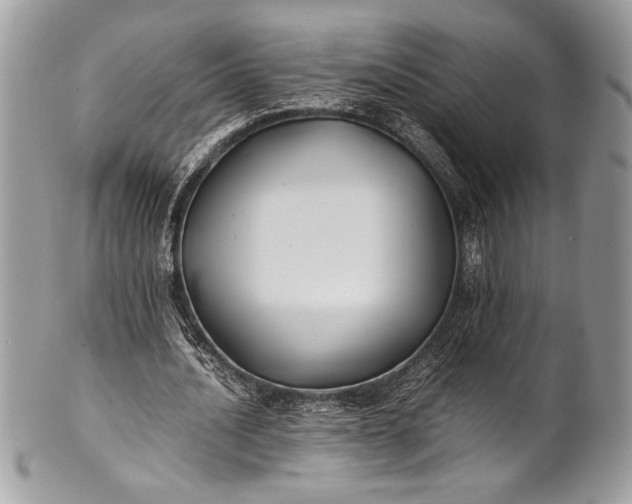 X0000100860628200807070934