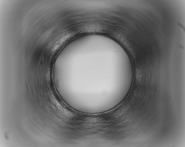 X0000100860629200807070934