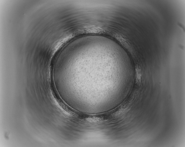 X0000100860630200807070934