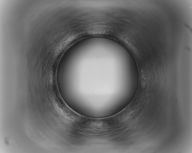 X0000100860631200807070934