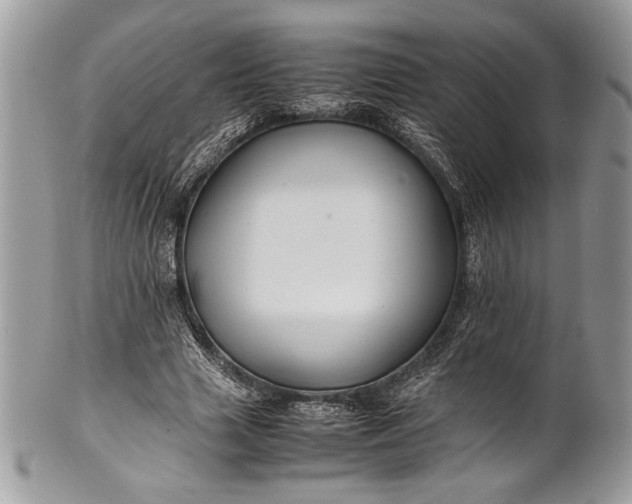 X0000100860633200807070934