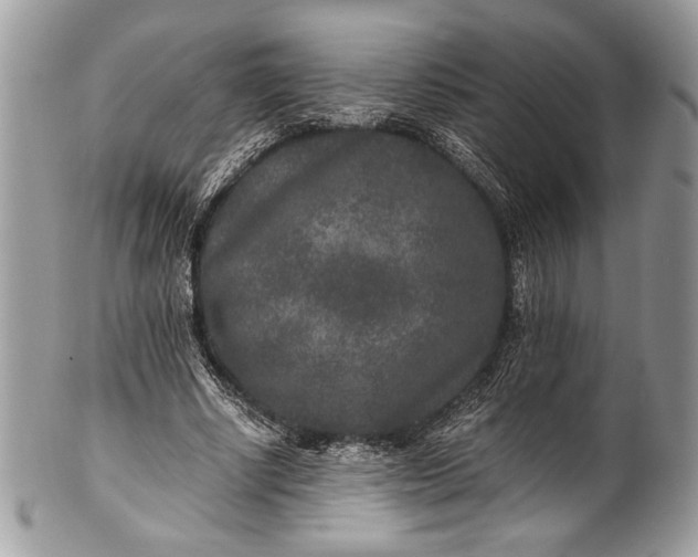 X0000100860634200807070934