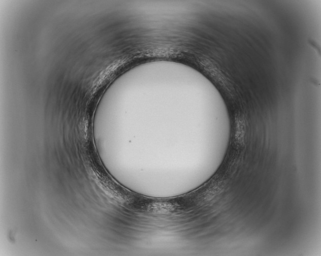 X0000100860636200807070934