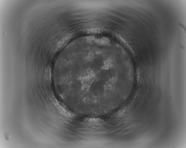 X0000100860637200807070934