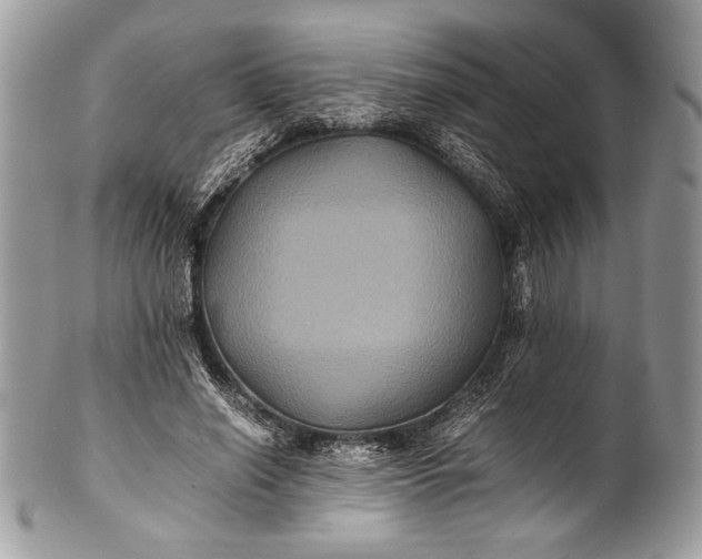 X0000100860638200807070934