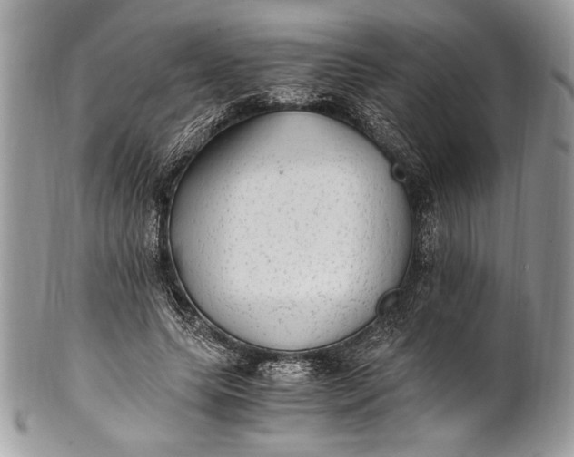 X0000100860639200807070934