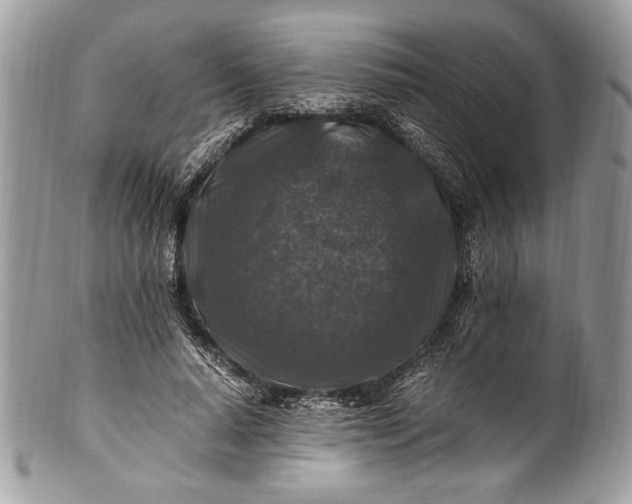 X0000100860640200807070934